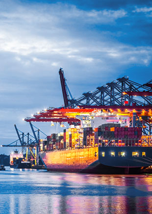 整柜 / 拼箱服务